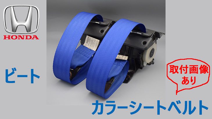 目を引く青さです